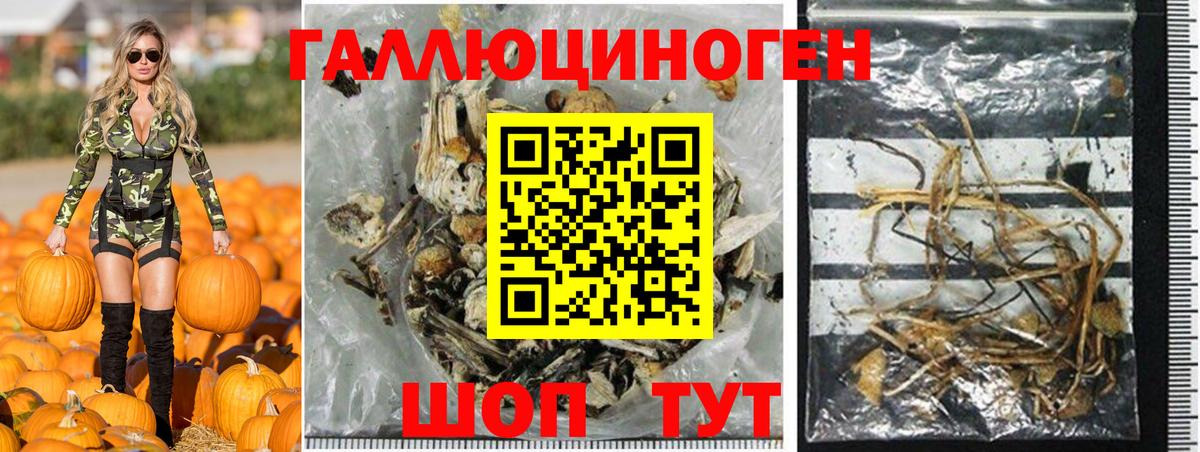 Черногорск  Псилоцибиновые грибы мицелий  Галлюциногенные грибы прущие грибы  Вход с VPN 